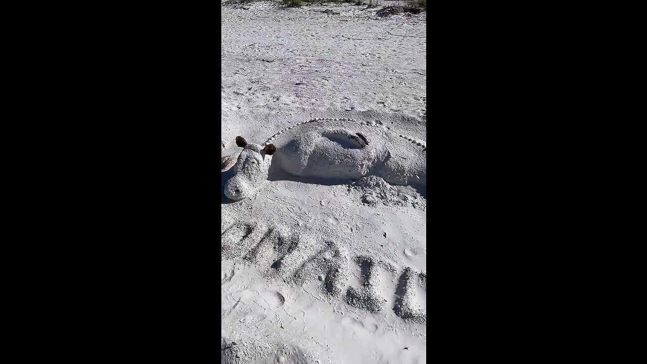 Sand and Shell Sculpting Championships #SandSculpture #FYP #AprilFools #MarcoIsland #Livstream