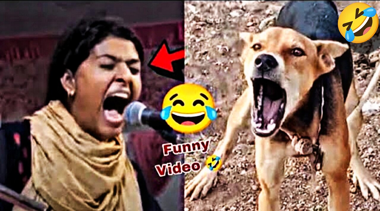 Funny video 🤣