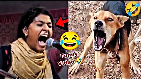 Funny video 🤣