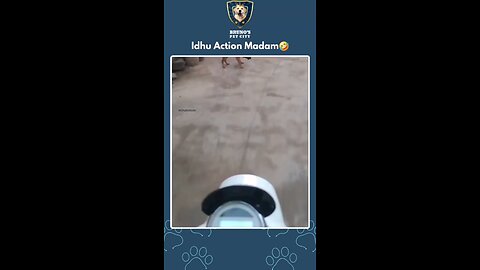 🤣🤣😂😂😂😂Action...