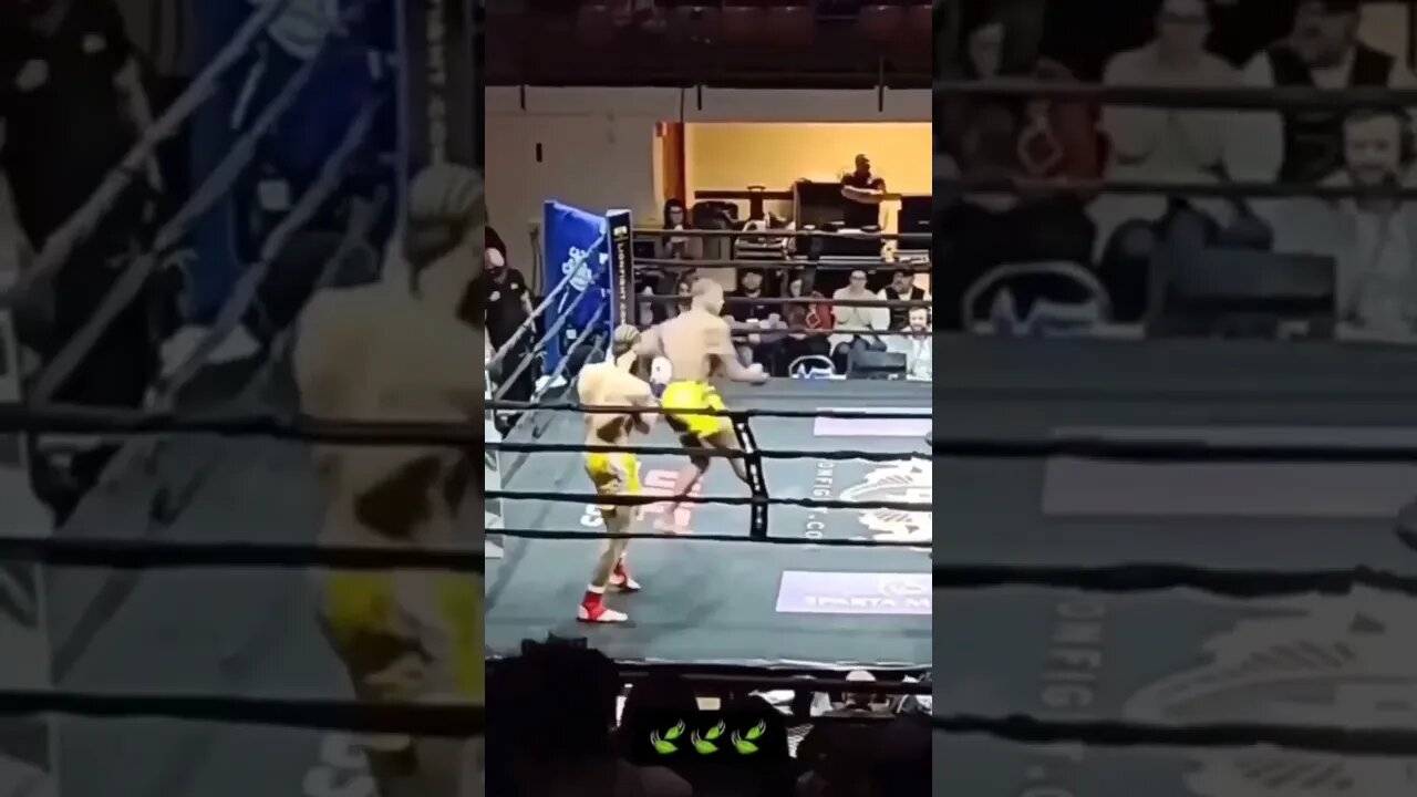 MMA Fight Insane Head Kicks 😳 #shorts #mma #fight