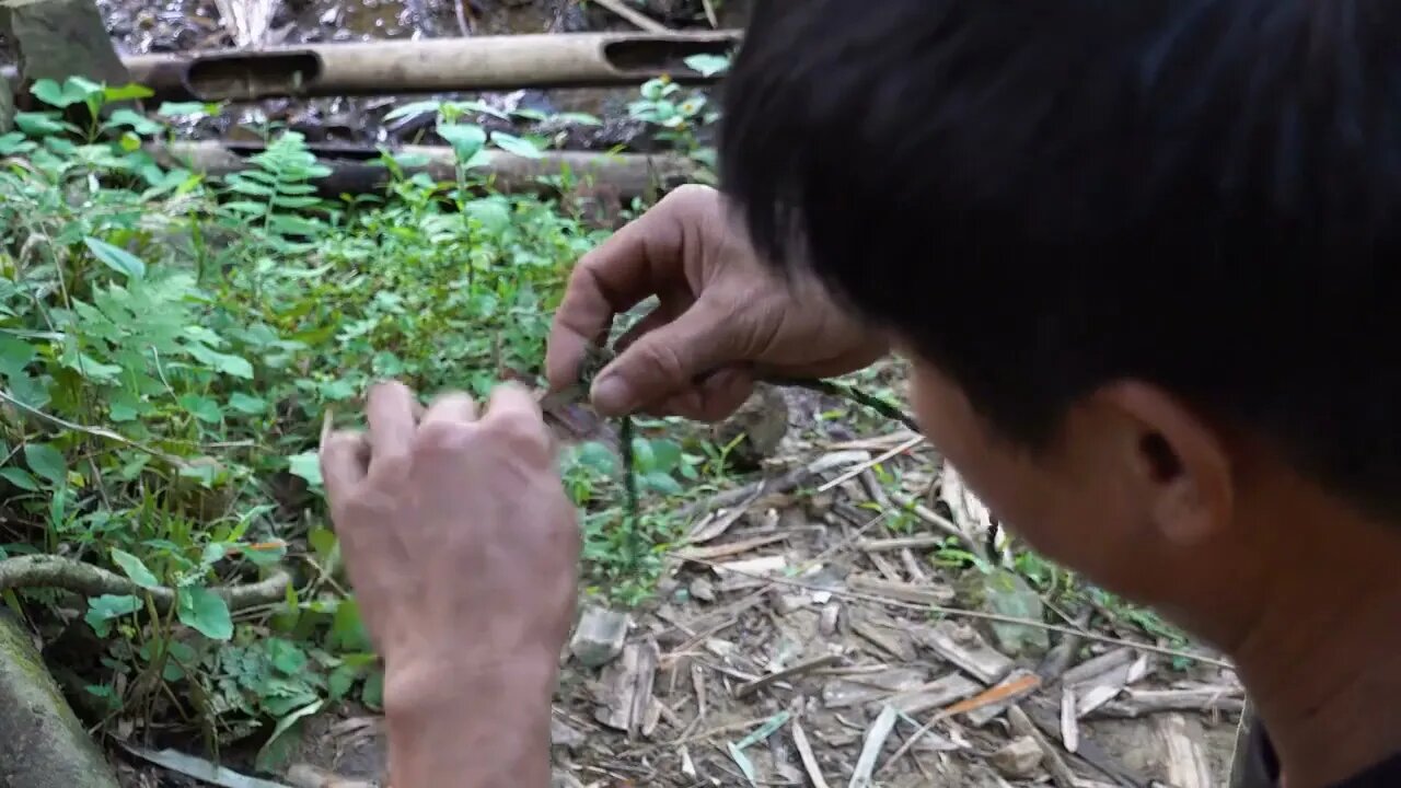 18. Wilderness survival, trapping, feeding wild boar.