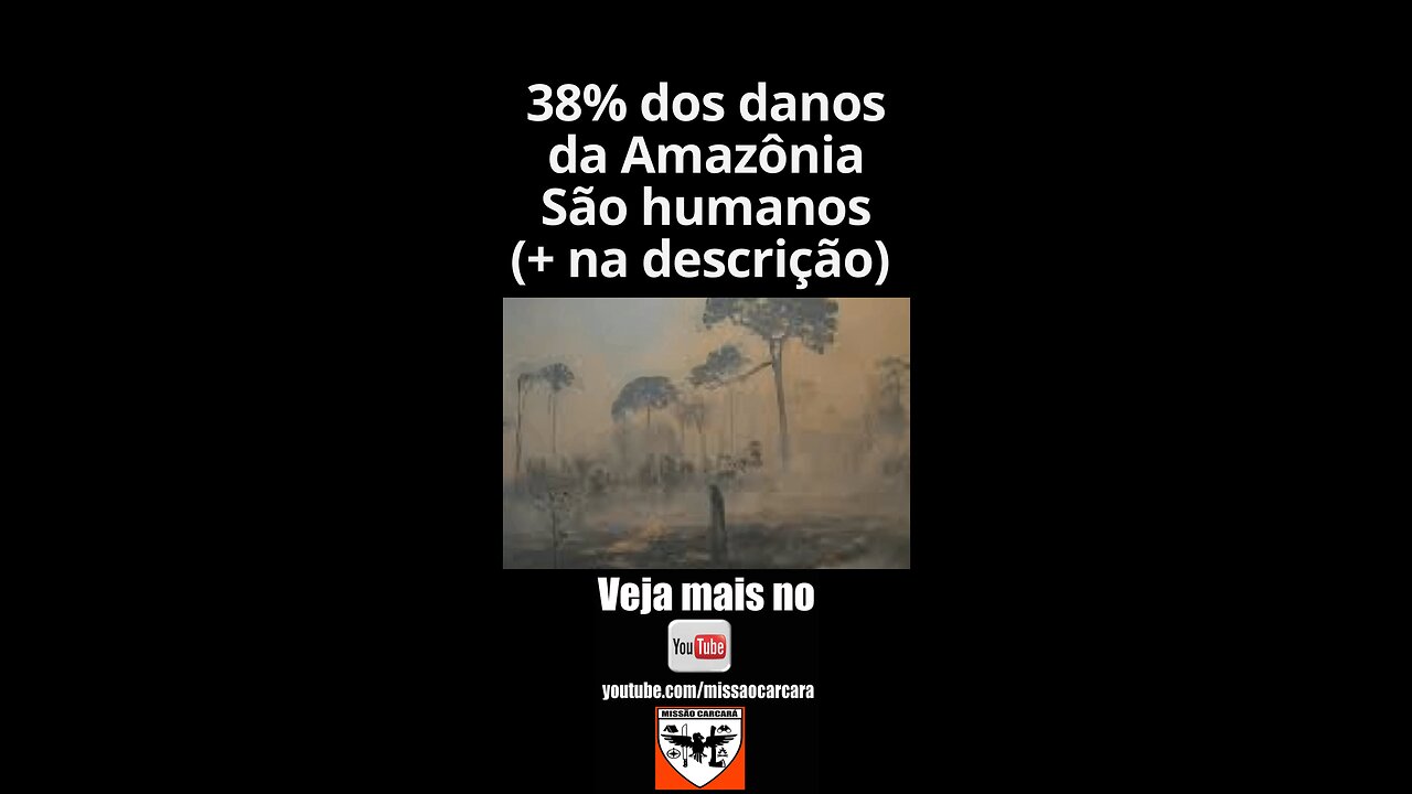 38% dos danos ambientais na Amazônia são humanos