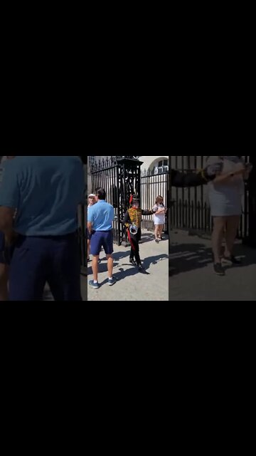 She walks around the tourist's #horseguardsparade