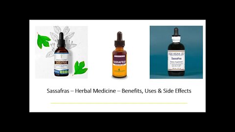 Sassafras Herbal Medicine Benefits, Uses & Side Effects