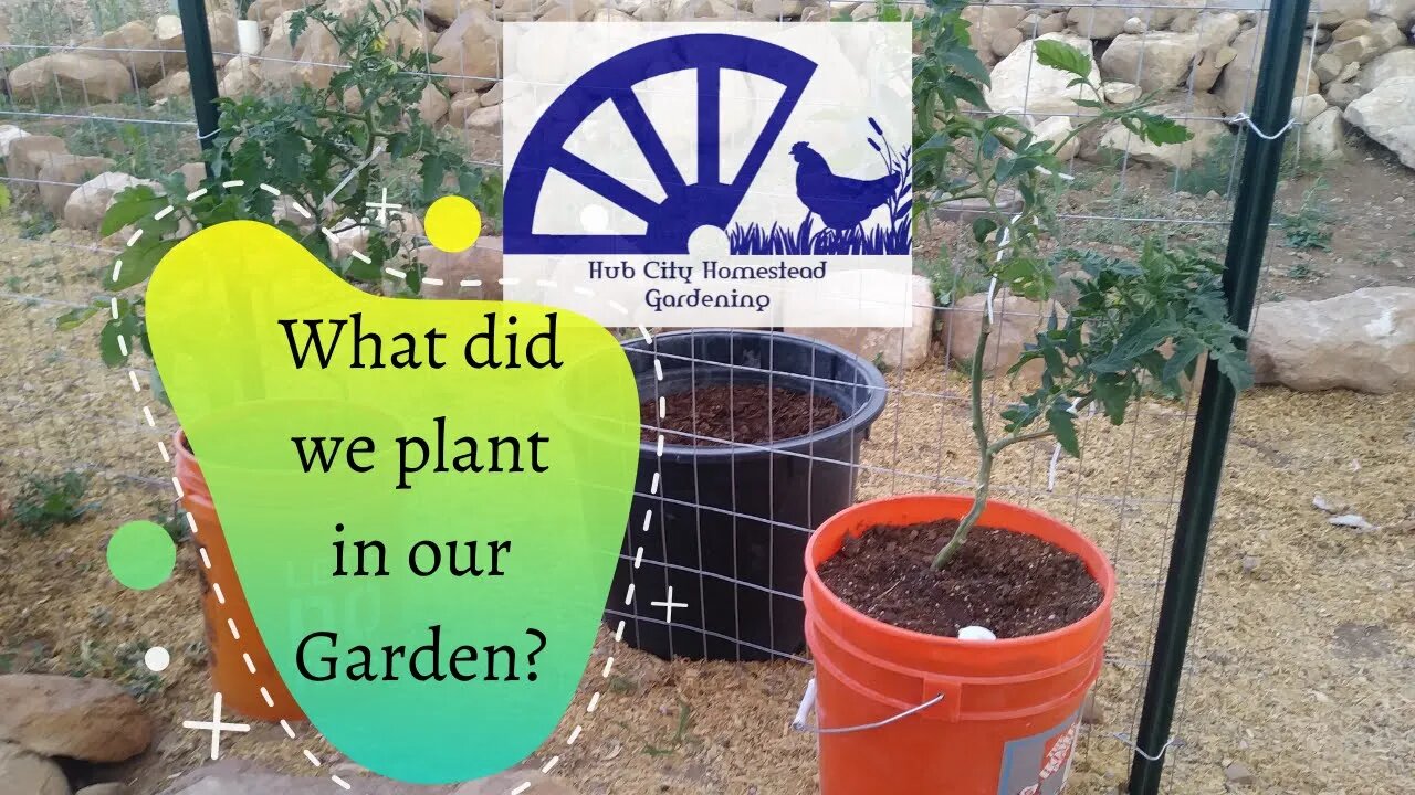 What did we plant in our garden?