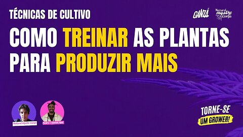 Aumentando a PRODUTIVIDADE e a ESTRUTURA da planta, HST e LST - SEMANA TORNE-SE UM GROWER - DIA 5