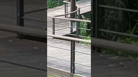 잣절생태공원 구로