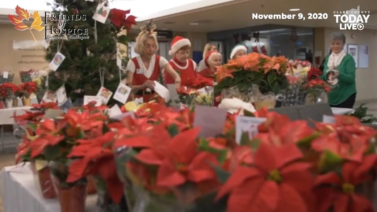 Still time to buy poinsettias for Friends of Hospice fundraiser