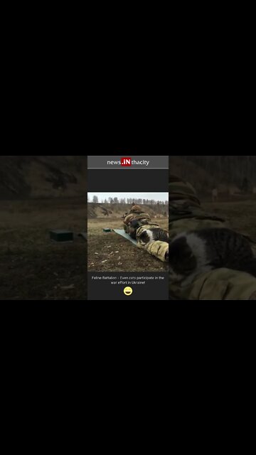 Ukrainian Soldier Shoots At Target With His Cat #shorts