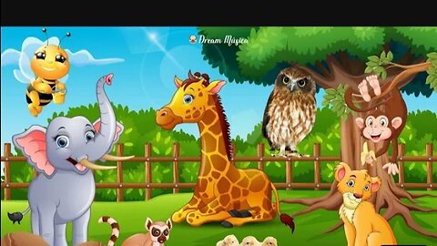 Animal trending video full HD video