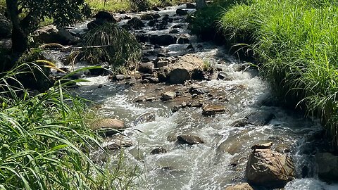 Cryptids of Central America