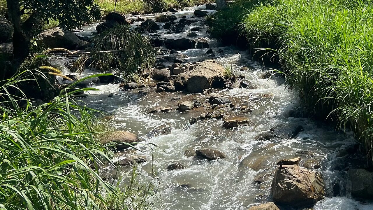 Cryptids of Central America