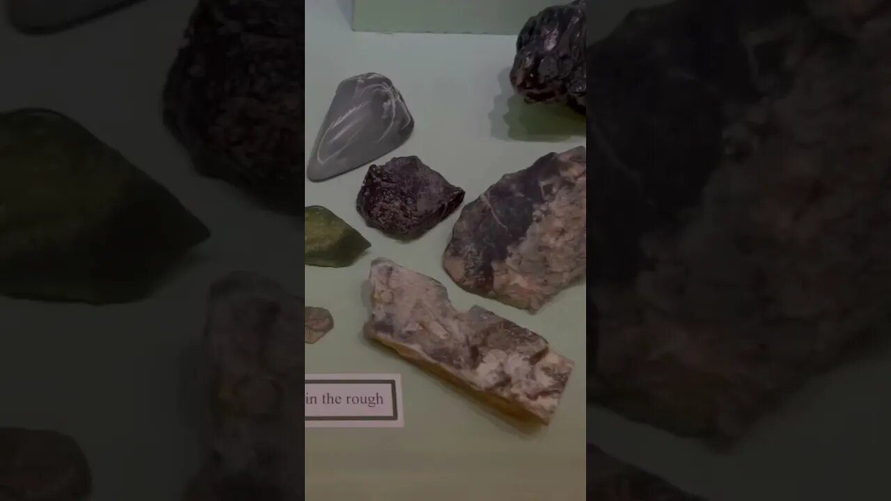 Dinosaur Fossils at Tate Geological Museum #shorts
