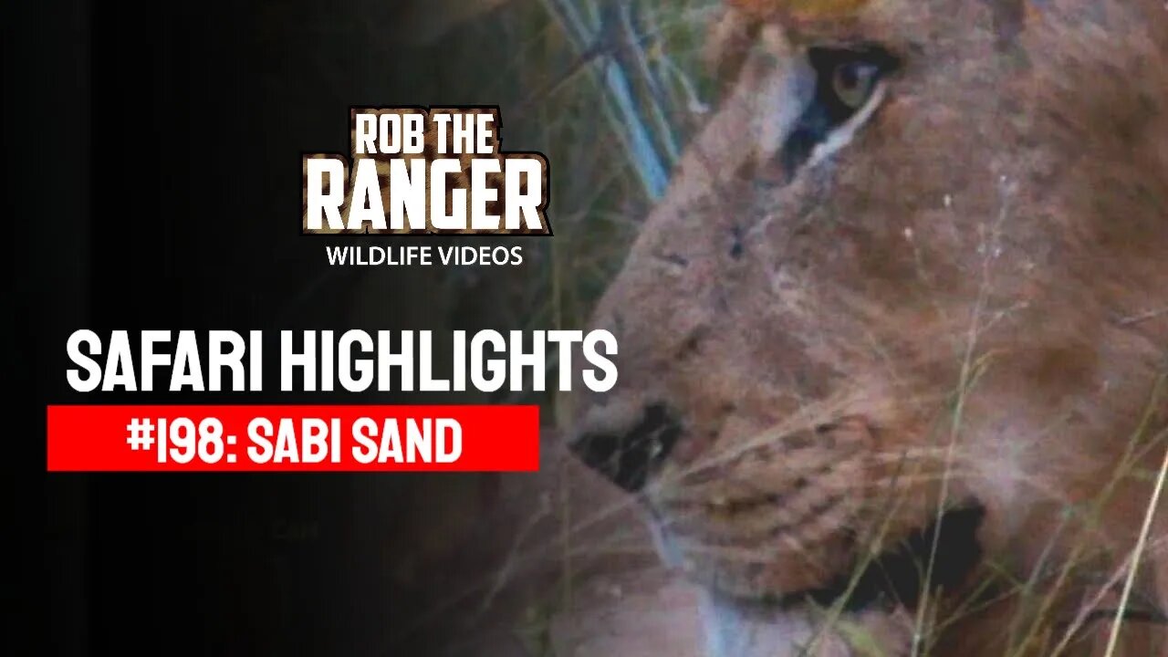 Safari Highlights #198: 19th & 20th March 2013 | Sabi Sand Wildtuin | Latest Wildlife Sightings