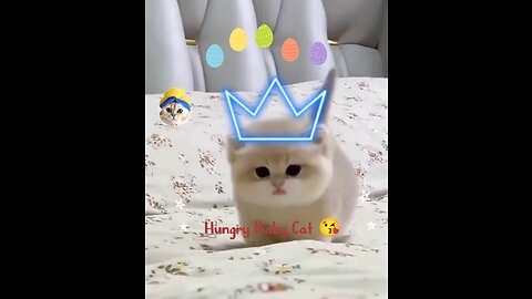 CUTE hungry baby