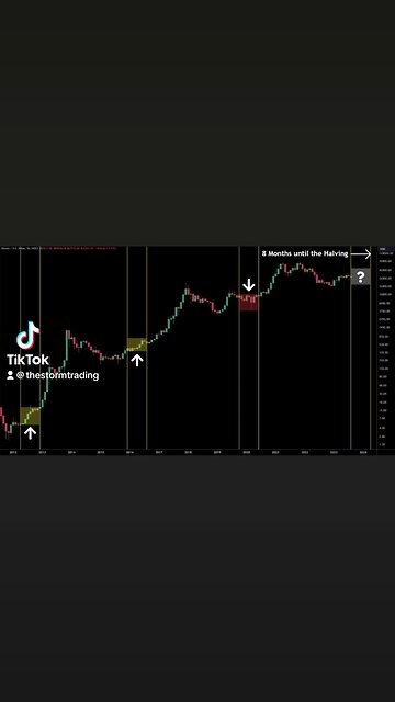 🔴 #Bitcoin monthly 8 months until the halving