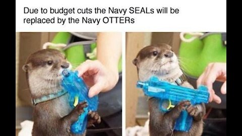NAVY SEALs Raid Cargo Ship Full of Smuggled Children