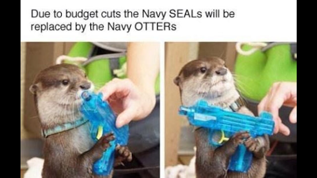 NAVY SEALs Raid Cargo Ship Full of Smuggled Children