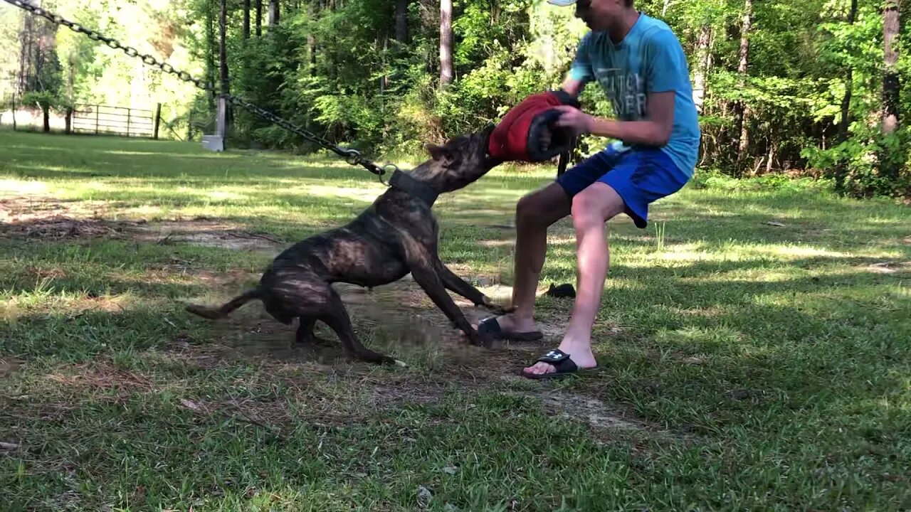 Conner gets an intro to decoy work
