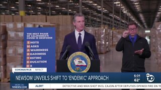 CA Gov. Newsom reveals "endemic" plan for state moving forward