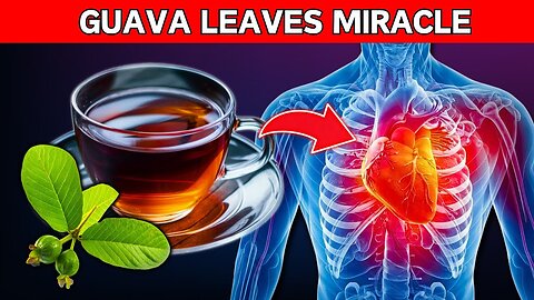 9 Diseases Cured with Guava Leaf Tea (How to make it)