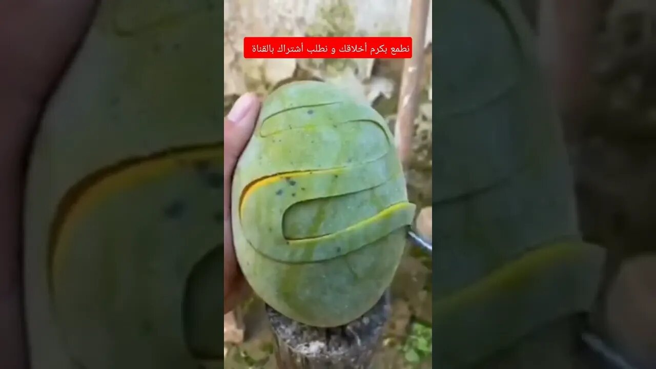 محمد نبينا