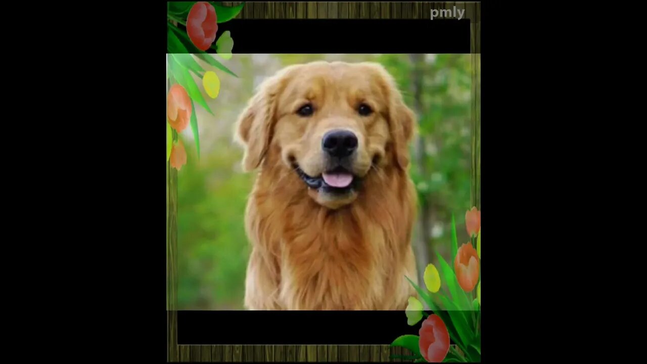 প্রেম ভালোবাসা