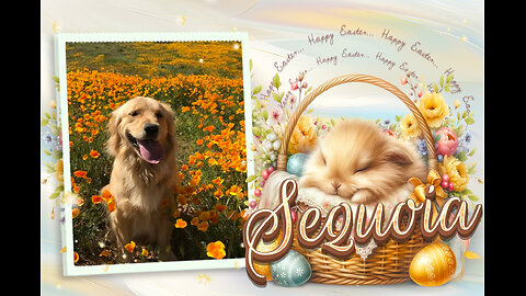 Golden Retrievers: Hearts of Gold - Easter/Passover 2024