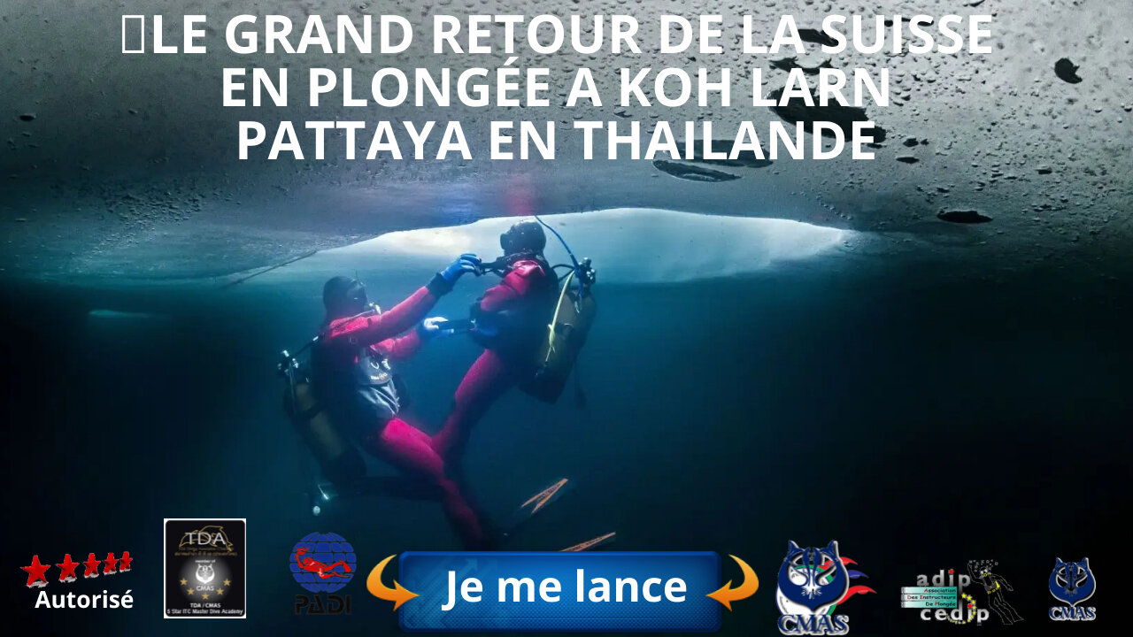 🤿 le grand retour de la suisse en plongée a koh Larn