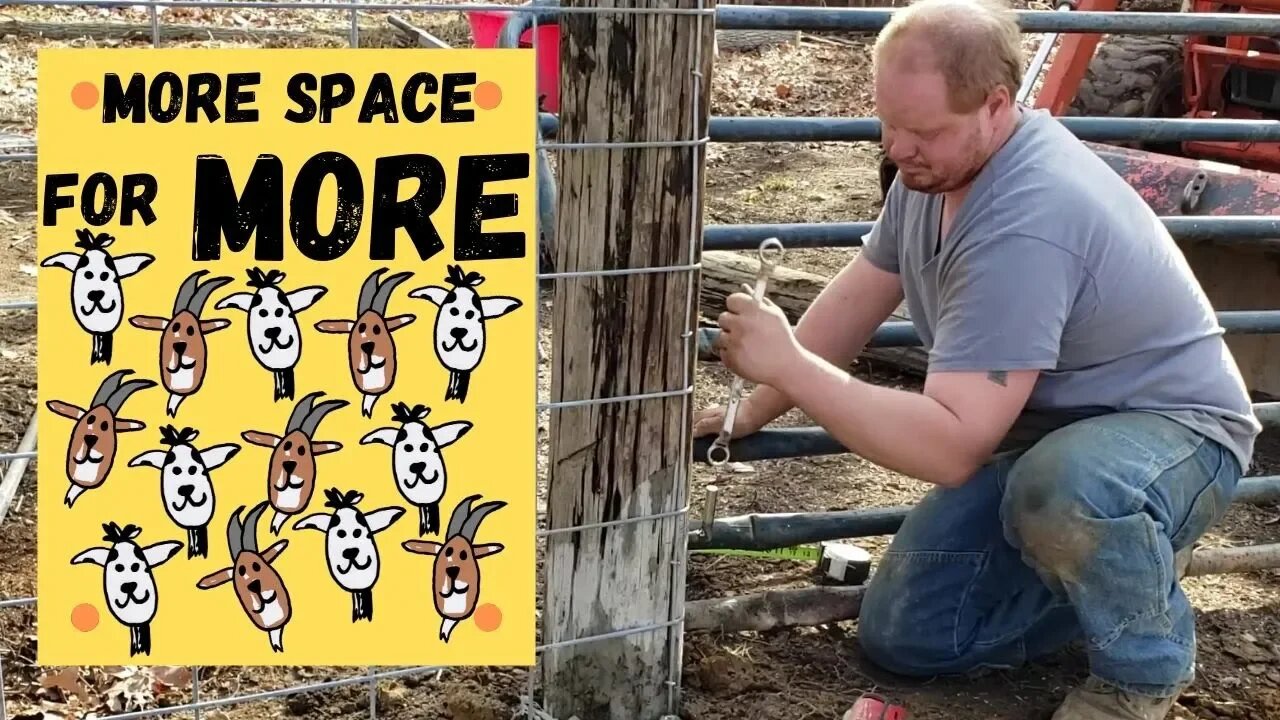 Bigger Pen for MORE Goats