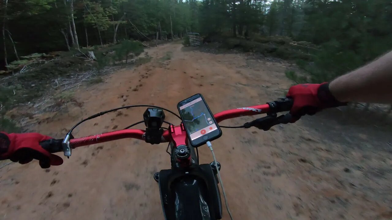 2 Track to Jager ( FATBACK RHINO )