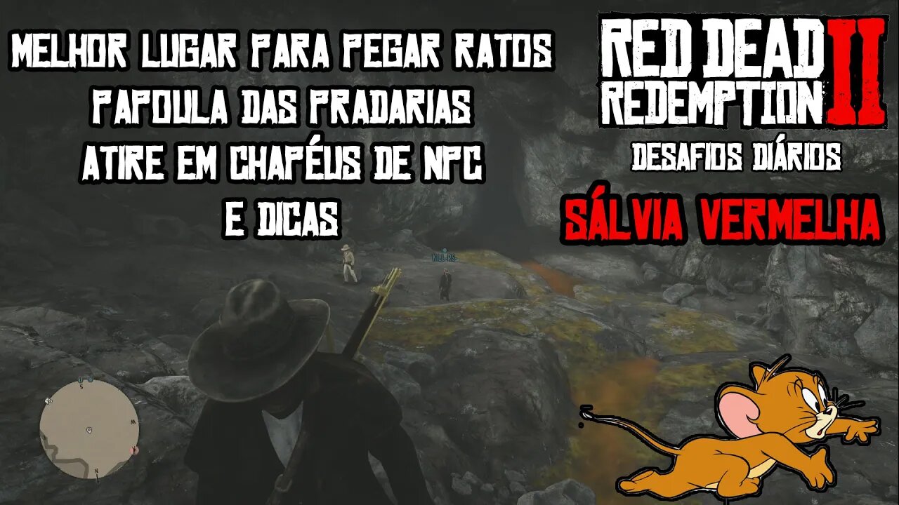 DESAFIOS DIÁRIOS RDR 2 RATOS, PAPOULA DA PRADARIA E SÁLVIA VERMELHA