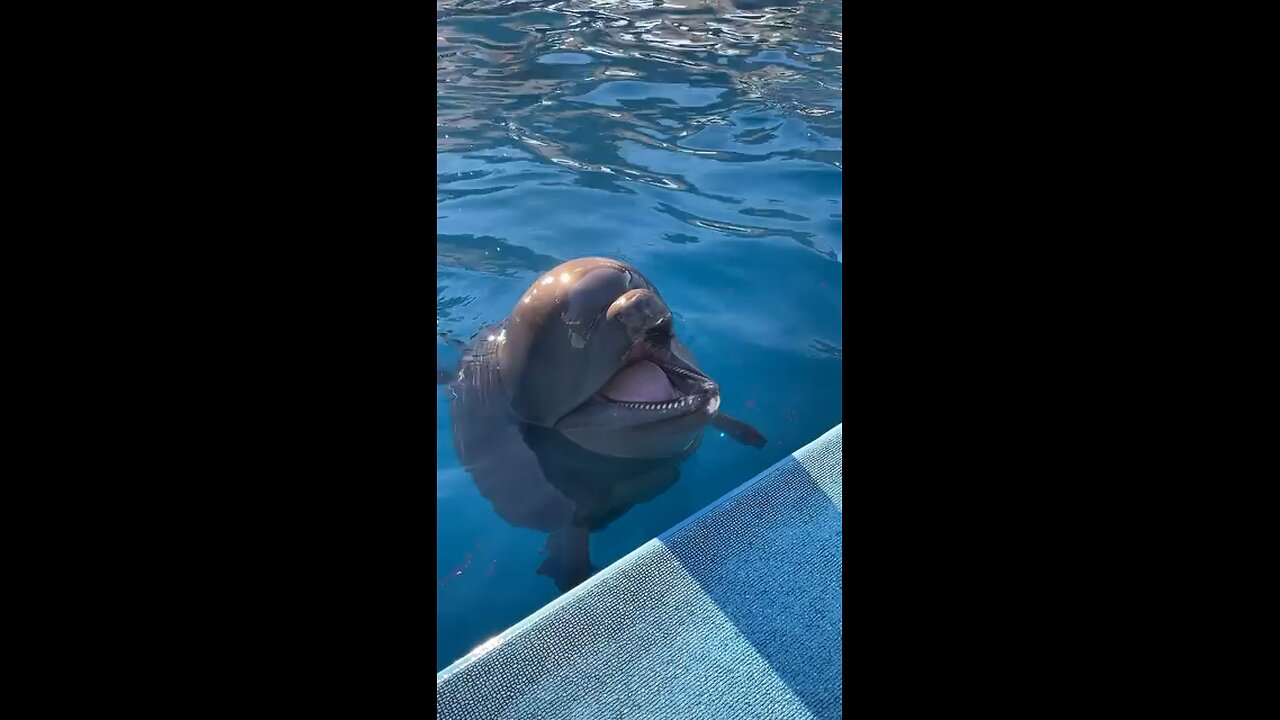 Funny😍😍