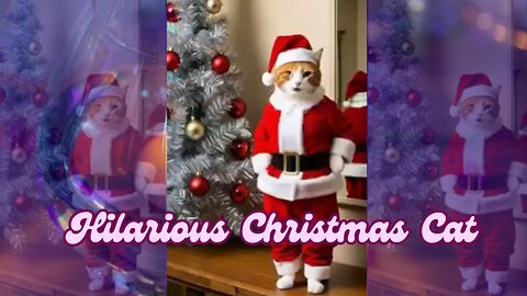 Hilarious Christmas Cat in Santa Outfit Dancing – Must-See Festive Entertainment!