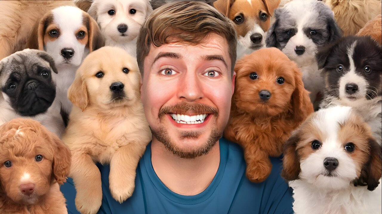 I Rescued 100 Abandoned Dogs!