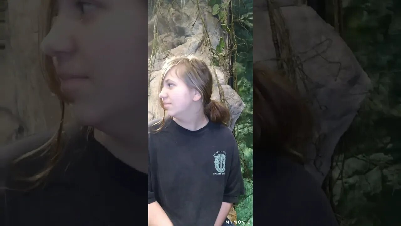 Road trip to Chattanooga