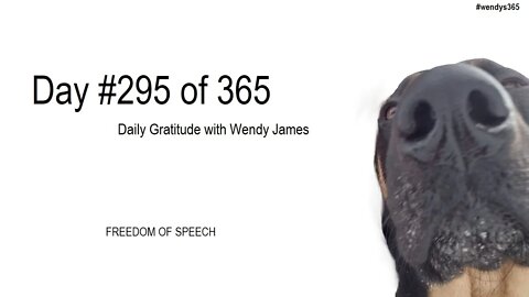 Grateful For Freedom Of Speech