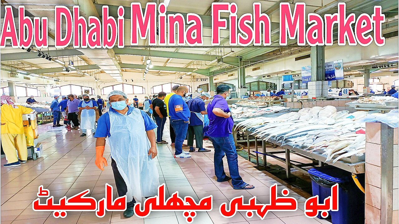 MY UAE VLOG # 14 || ABU DHABI FISH MARKET || MINA FISH MARKET ABU DHABI || QAYOOM KHAN