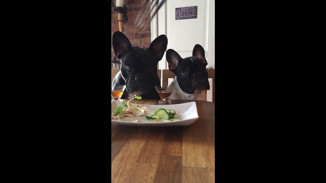 Fussy Frenchies refuse to eat their veggies