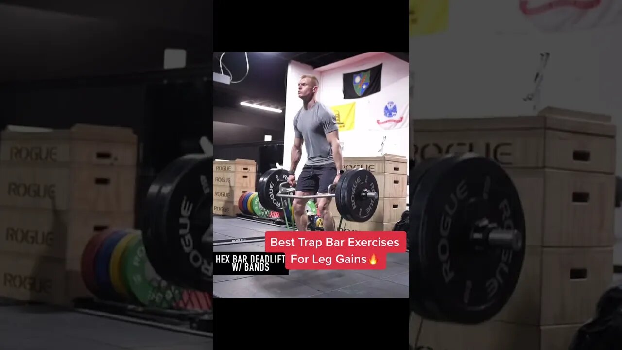 BEST TRAP BAR EXERCISES FOR LEG GAINS 🦿🔥 #Shorts #legday