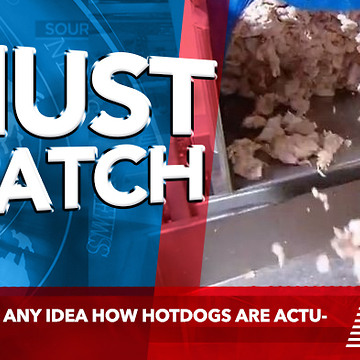 Do You Have Any Idea How Hot Dogs Are Actually Made?