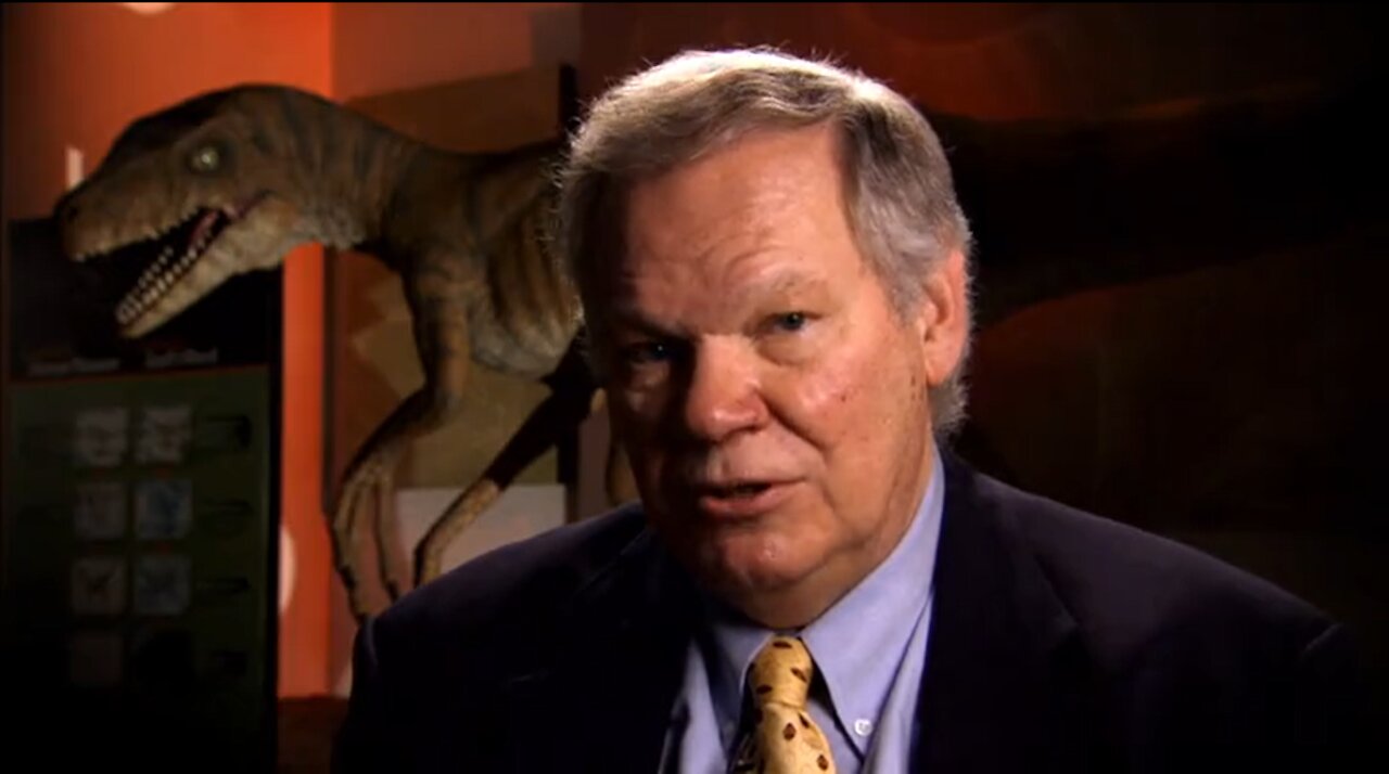 Did Dinosaurs Turn into Birds?
