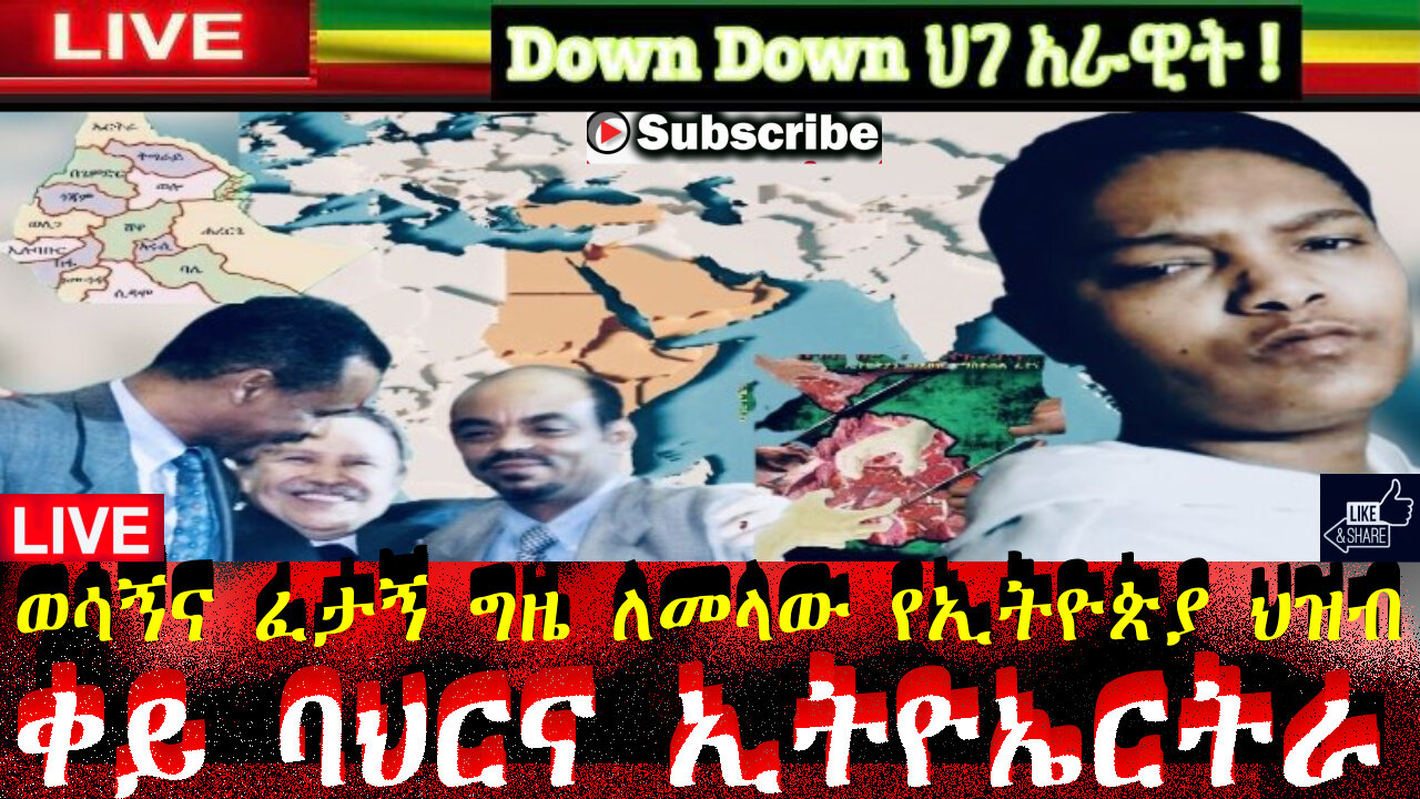 ቀይ ባህርና ኢትዮኤርትራ