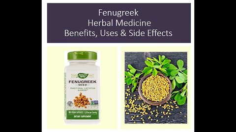 Fenugreek - Herbal Medicine - Benefits, Uses & Side Effects