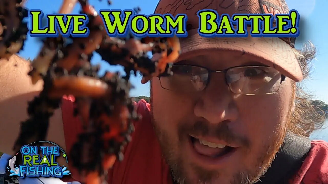 Live Worm Bank Fishing Battle Versus SJO!