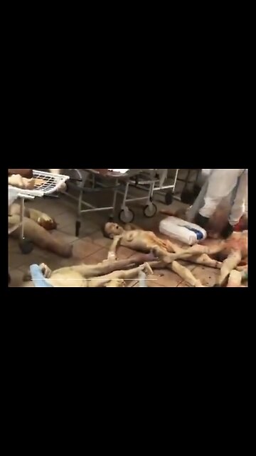 MORE FUN WITH ILLEGAL ORGAN HARVESTING