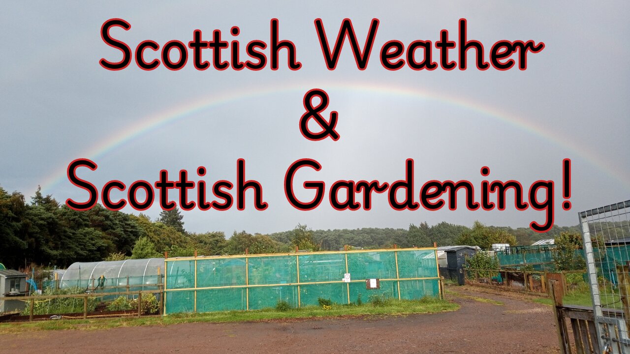 Gardening in Scotland - 25th August 2024