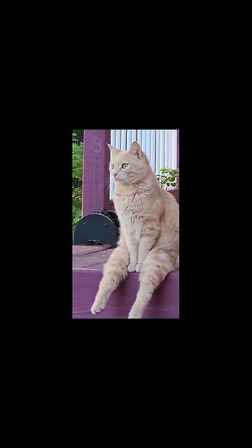 How to live this life?