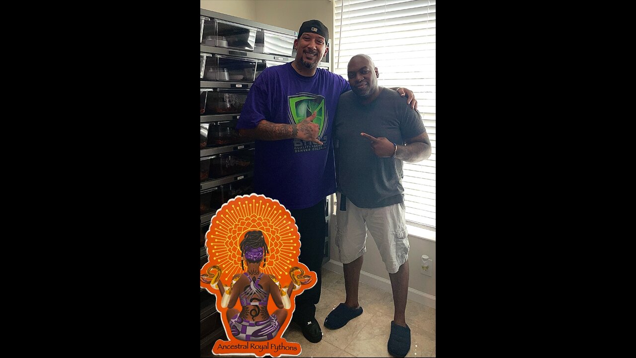 Talking about my experience with Jason from Ancestral Royal Pythons
